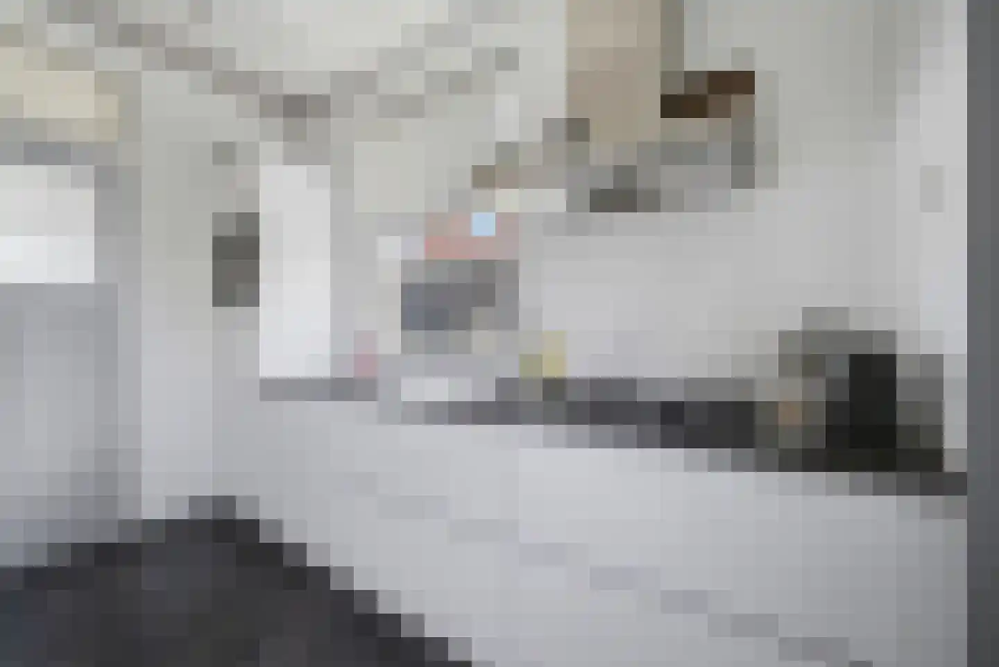Anjelierenlaan 19 Vlissingen thumbnail 9