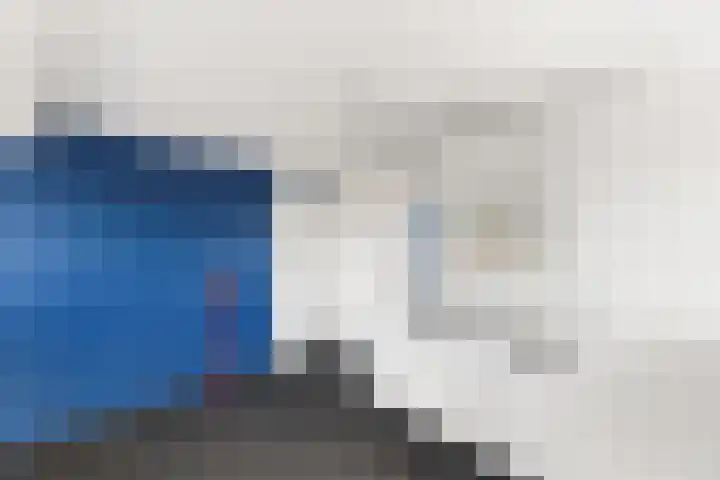 Anjelierenlaan 47 Vlissingen thumbnail 26