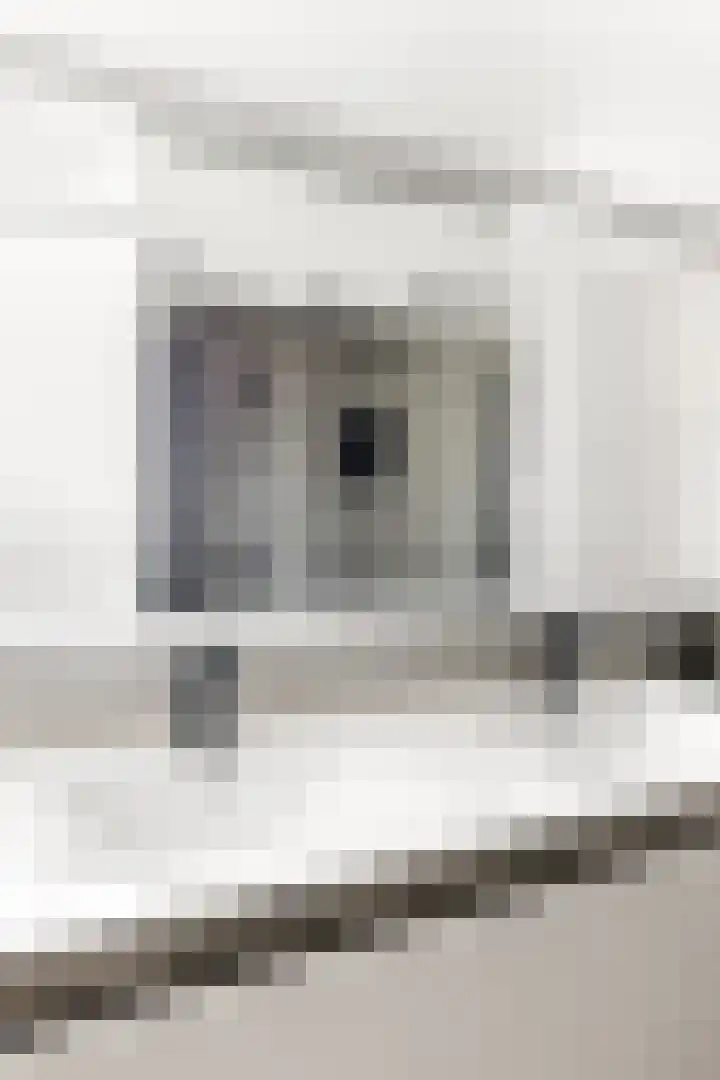 Anjelierenlaan 47 Vlissingen thumbnail 32
