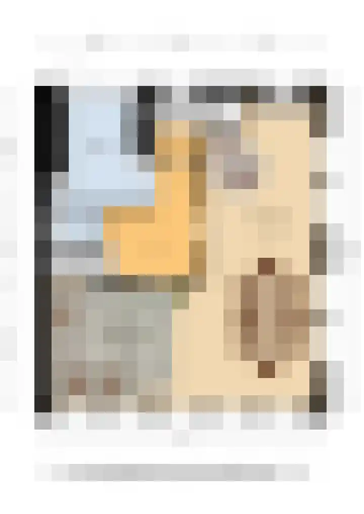 Anjelierenlaan 47 Vlissingen thumbnail 35