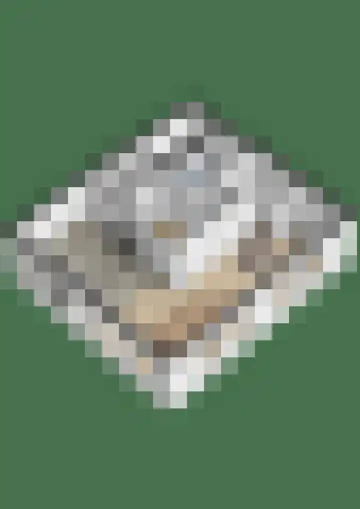 Anjelierenlaan 47 Vlissingen thumbnail 36