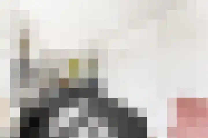 Anjelierenlaan 47 Vlissingen thumbnail 8