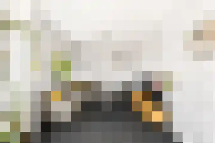 Anjelierenlaan 47 Vlissingen thumbnail 9