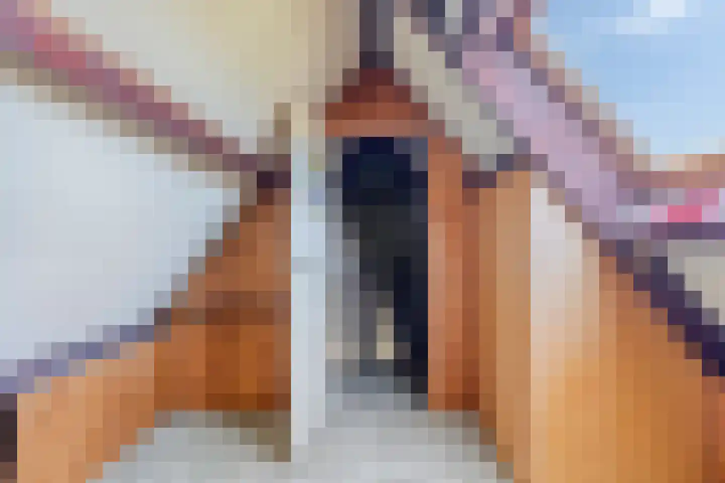Anjelierenlaan 61 Vlissingen thumbnail 19