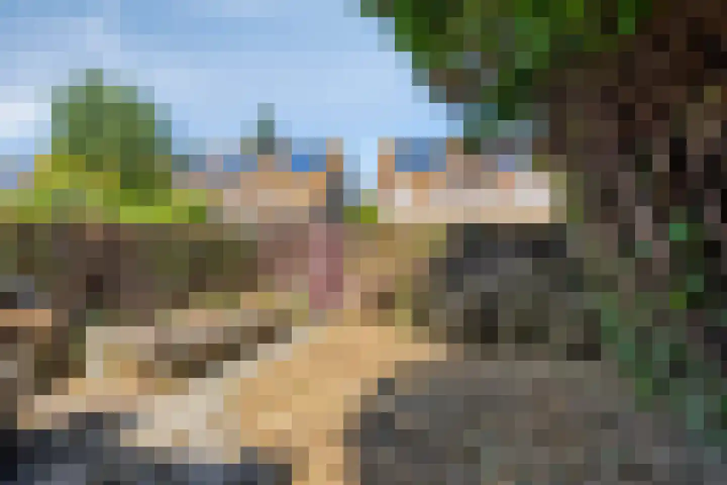 Anjelierenlaan 61 Vlissingen thumbnail 20