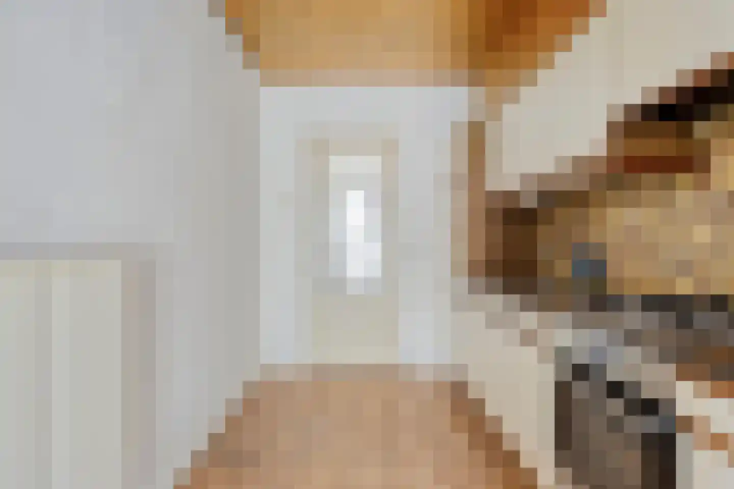 Anjelierenlaan 61 Vlissingen thumbnail 7