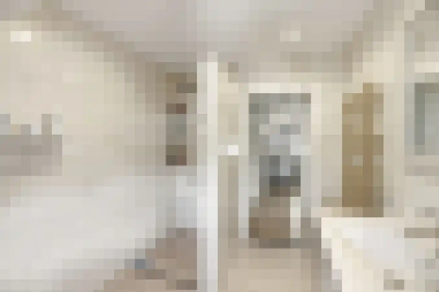 Anjelierenlaan 67 Vlissingen thumbnail 4