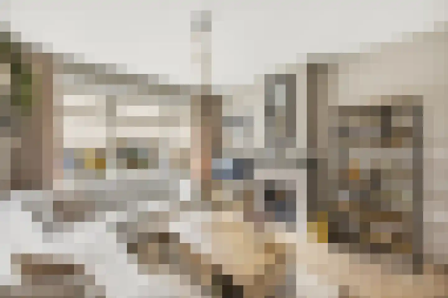 Anjelierenlaan 67 Vlissingen thumbnail 9