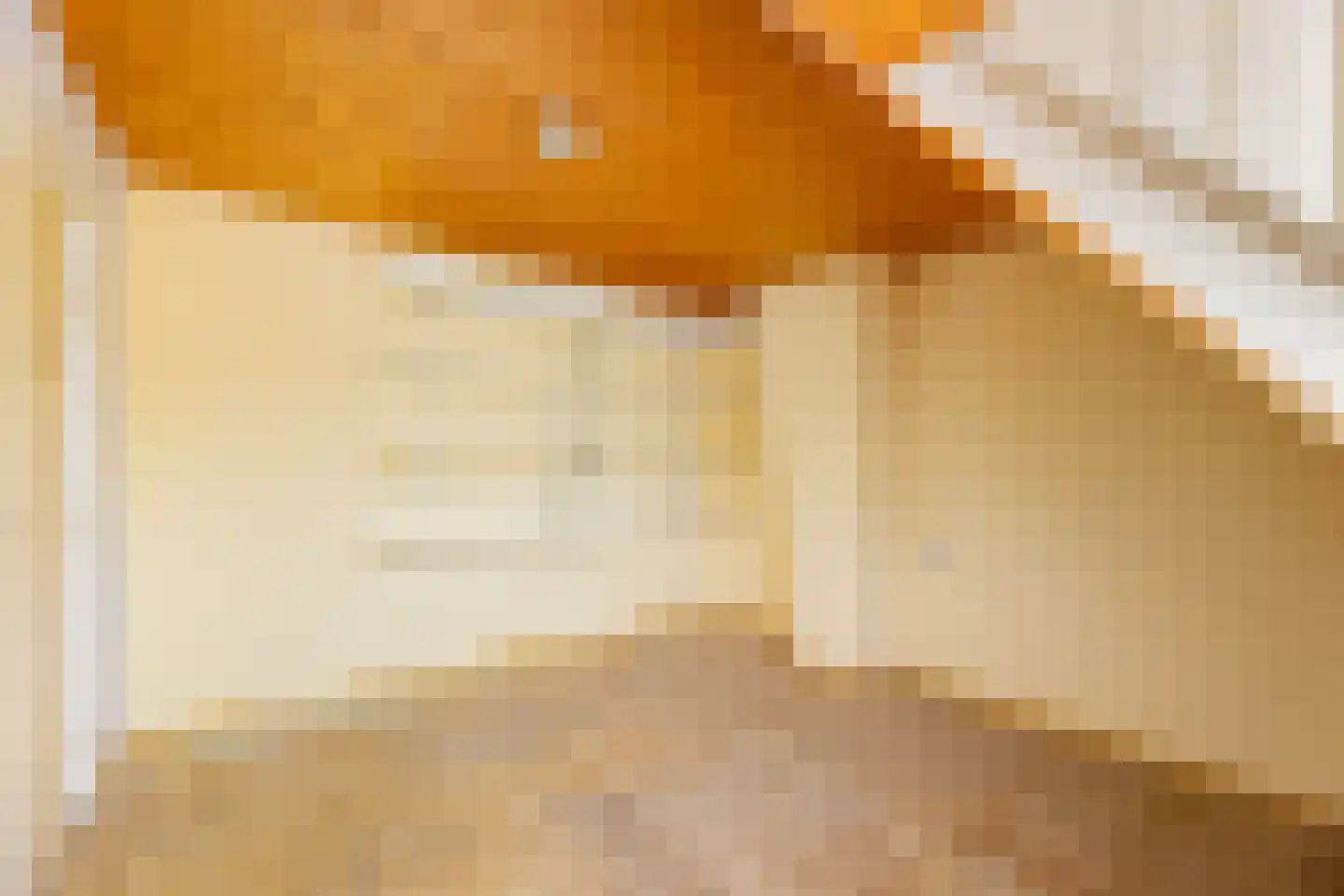 Anjelierenlaan 99 Vlissingen thumbnail 14