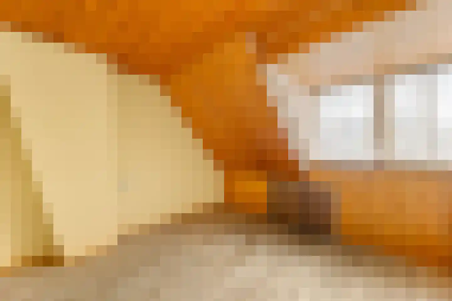 Anjelierenlaan 99 Vlissingen thumbnail 26