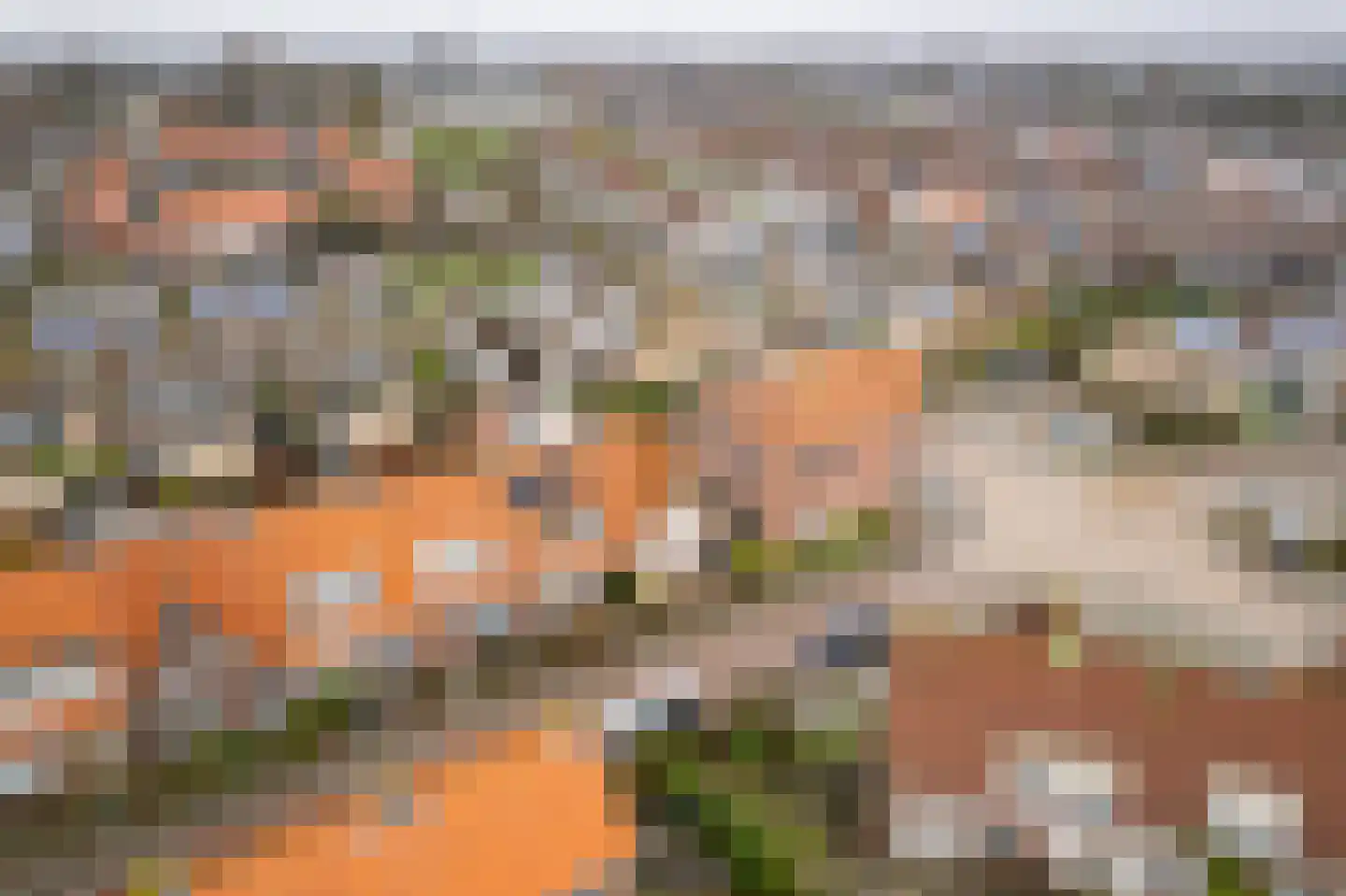 Anjelierenlaan 99 Vlissingen thumbnail 34