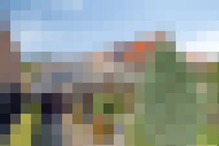 Anjelierenstraat 1 Volendam thumbnail 34