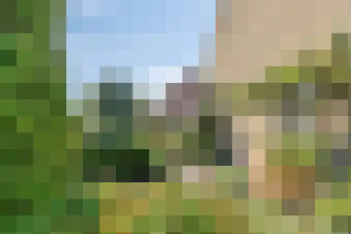 Anjelierenstraat 1 Volendam thumbnail 39