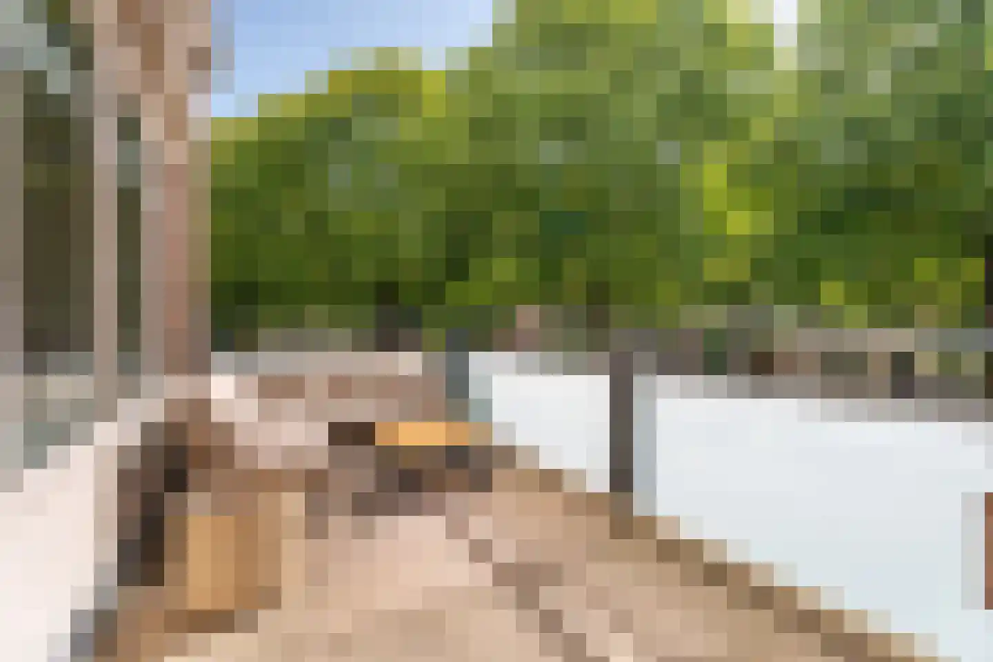 Anjelierenstraat 16 Rijnsburg thumbnail 11