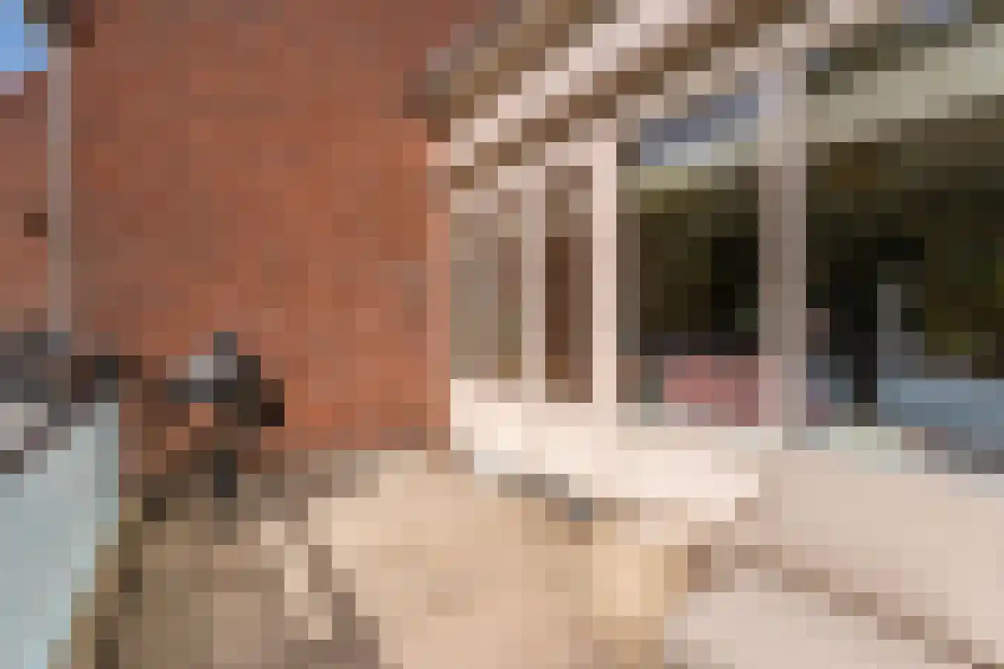 Anjelierenstraat 16 Rijnsburg thumbnail 12