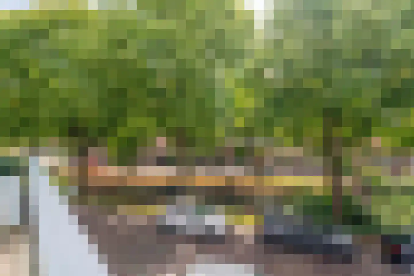 Anjelierenstraat 16 Rijnsburg thumbnail 13