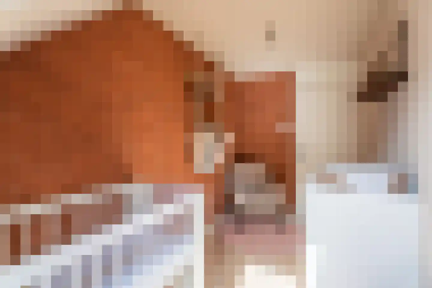 Anjelierenstraat 16 Rijnsburg thumbnail 17