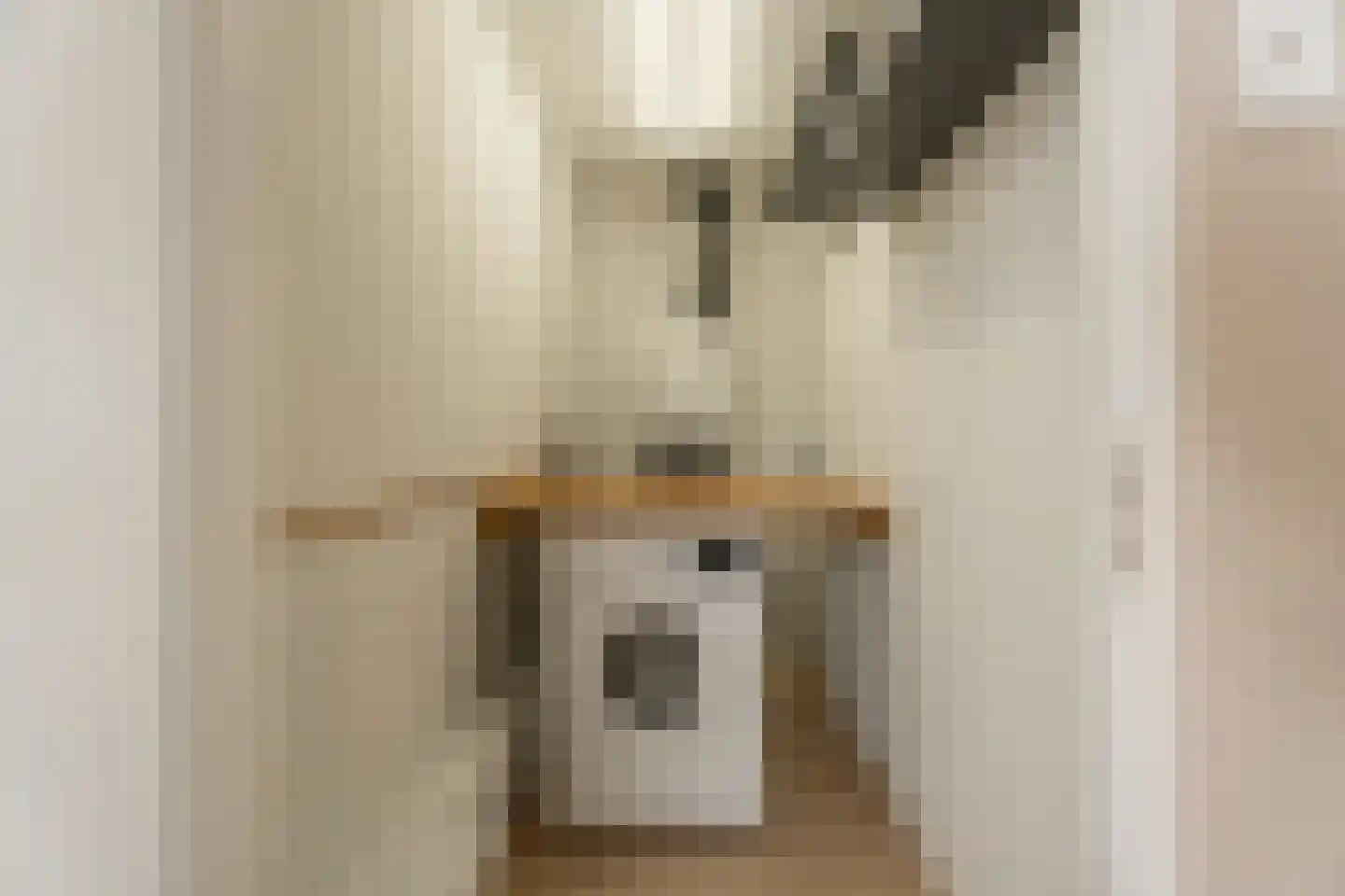 Anjelierenstraat 16 Rijnsburg thumbnail 20
