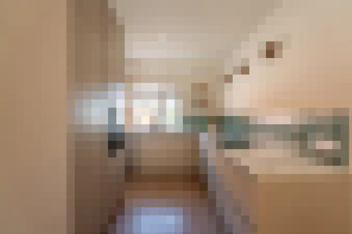 Anjelierenstraat 16 Rijnsburg thumbnail 6