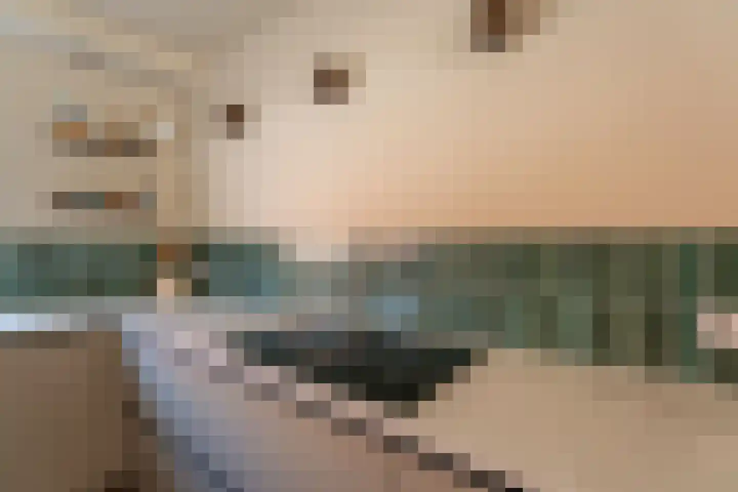 Anjelierenstraat 16 Rijnsburg thumbnail 7