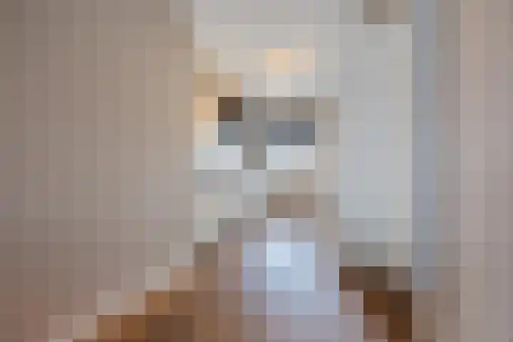 Anjelierenstraat 18 Rijnsburg thumbnail 18
