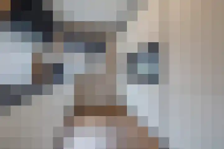 Anjelierenstraat 18 Rijnsburg thumbnail 20
