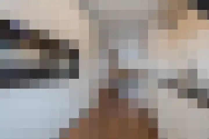 Anjelierenstraat 18 Rijnsburg thumbnail 22