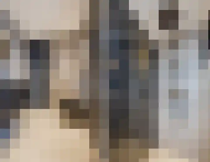 Anjelierenstraat 18 Rijnsburg thumbnail 38