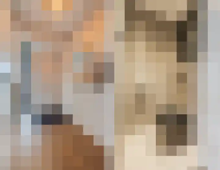 Anjelierenstraat 18 Rijnsburg thumbnail 9