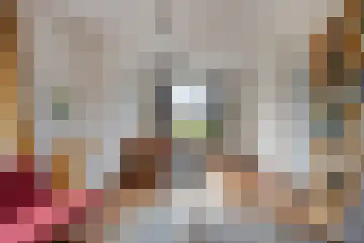 Anjelierenstraat 31 Purmerend thumbnail 10