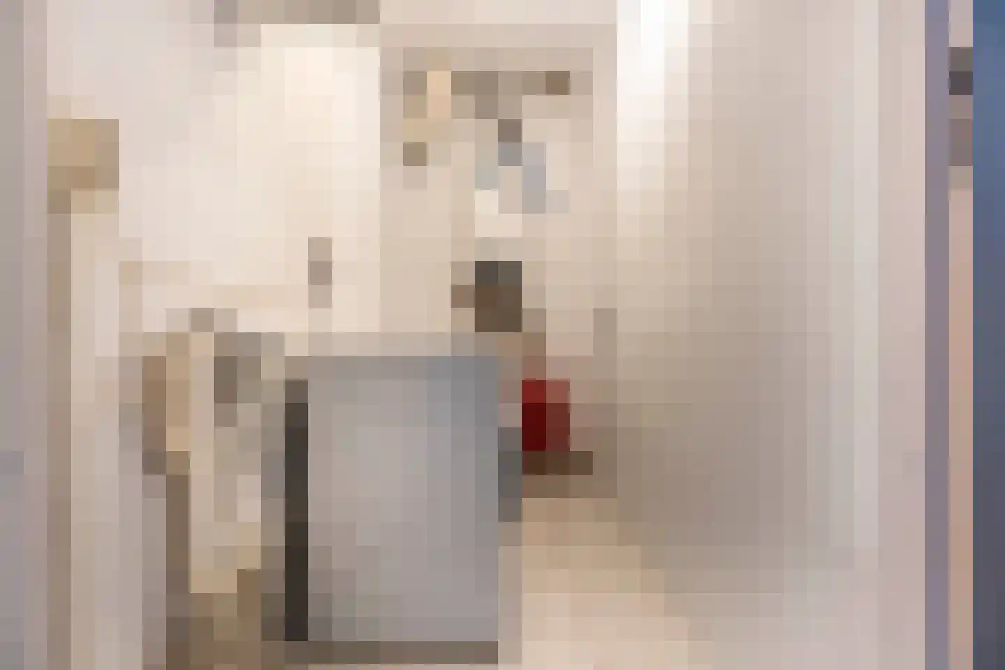 Anjelierenstraat 31 Rijnsburg thumbnail 31