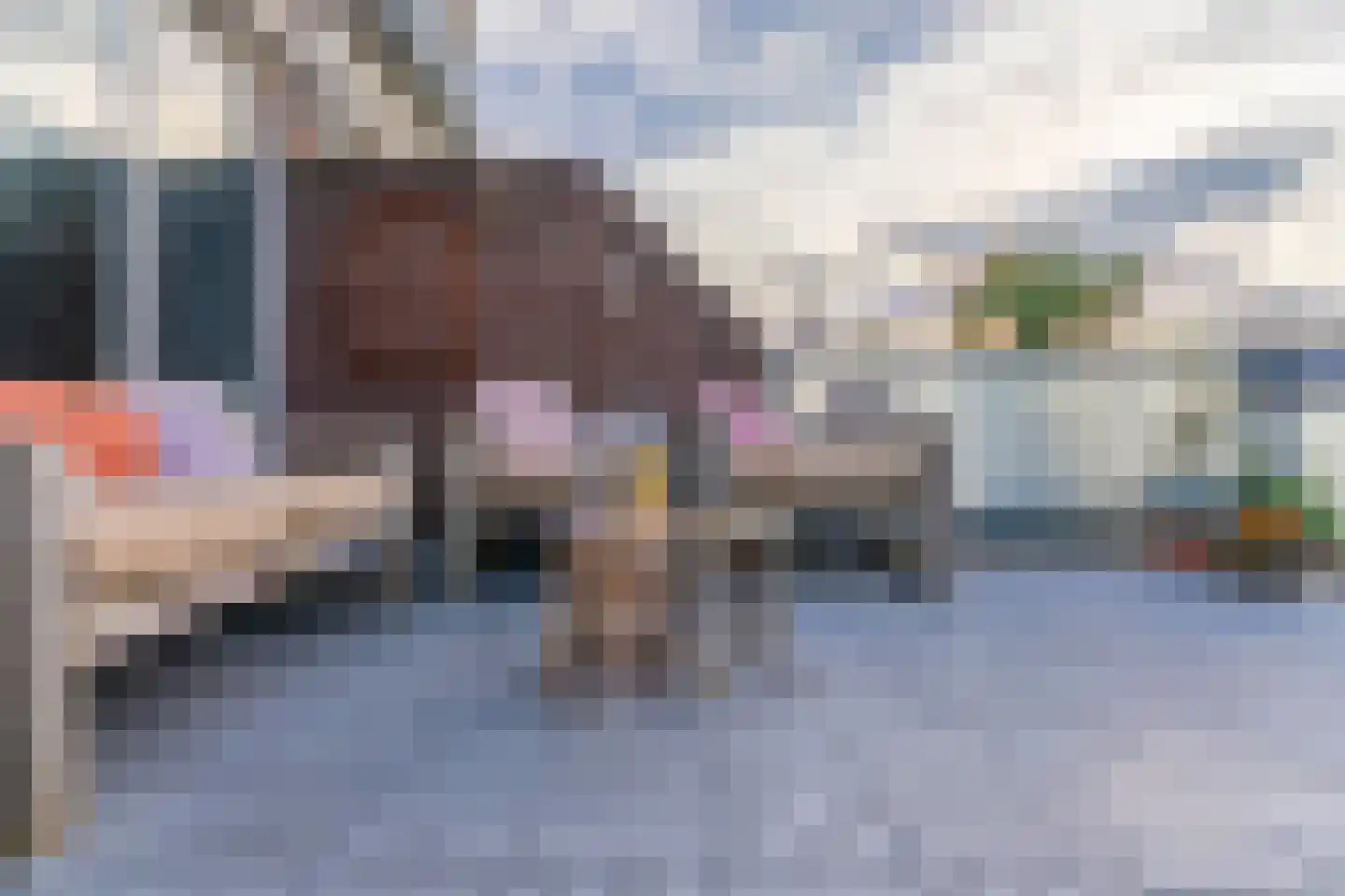 Anjelierenstraat 31 Rijnsburg thumbnail 34