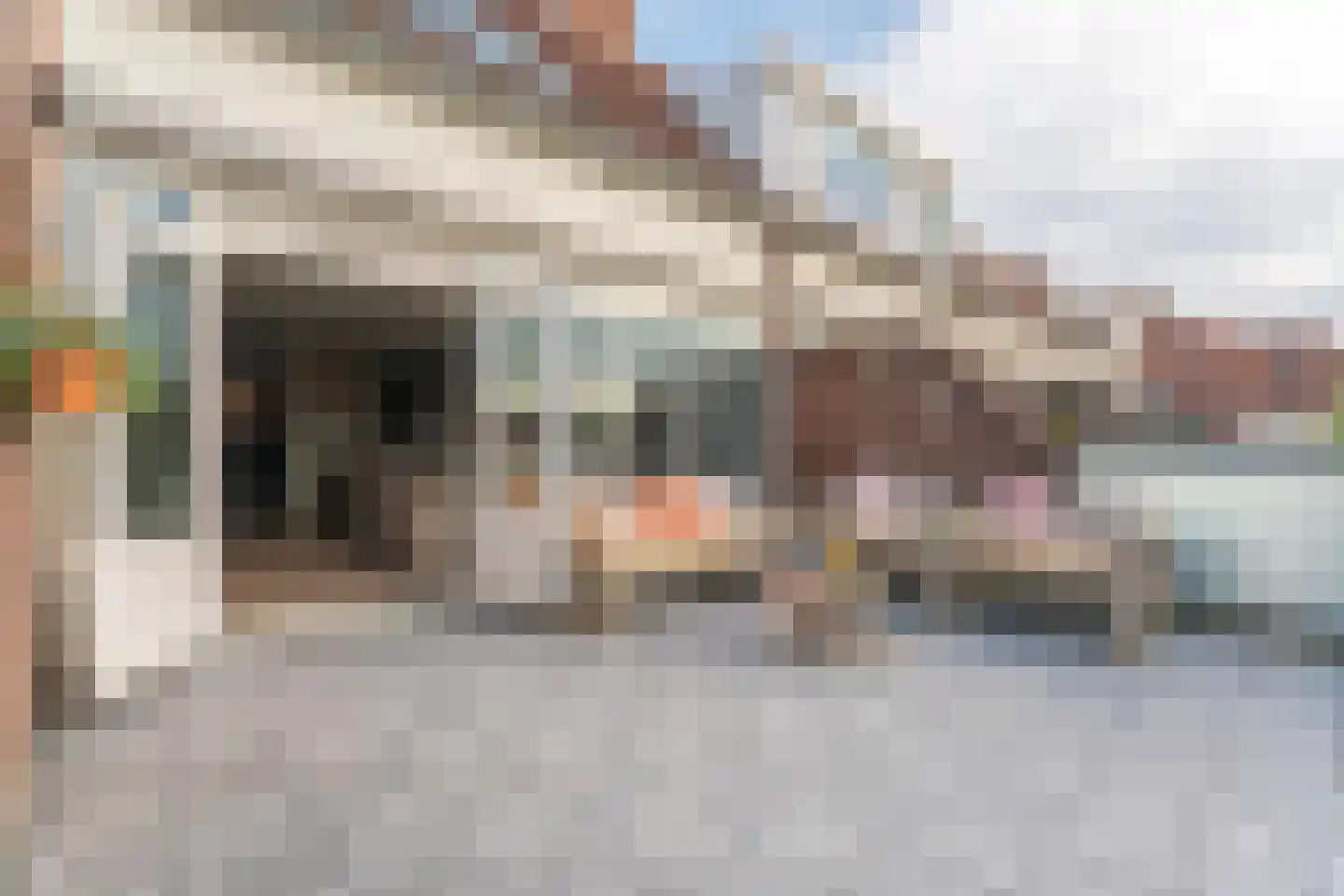 Anjelierenstraat 31 Rijnsburg thumbnail 39