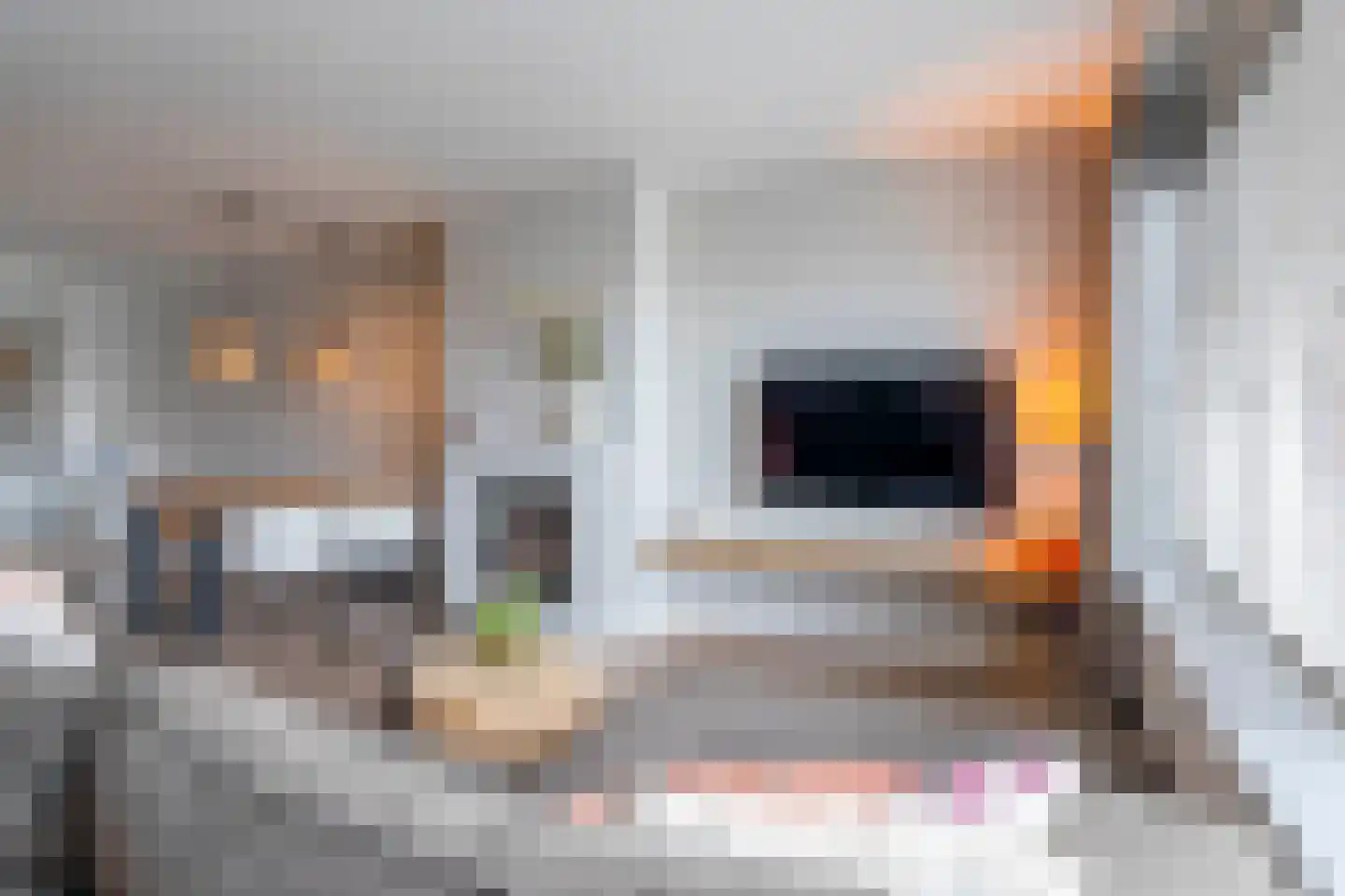 Anjelierenstraat 31 Rijnsburg thumbnail 6