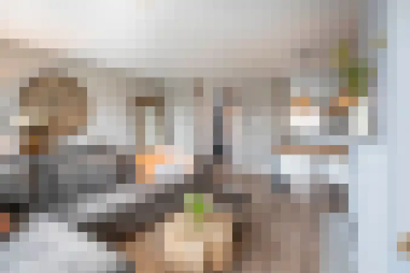 Anjelierenstraat 31 Rijnsburg thumbnail 8