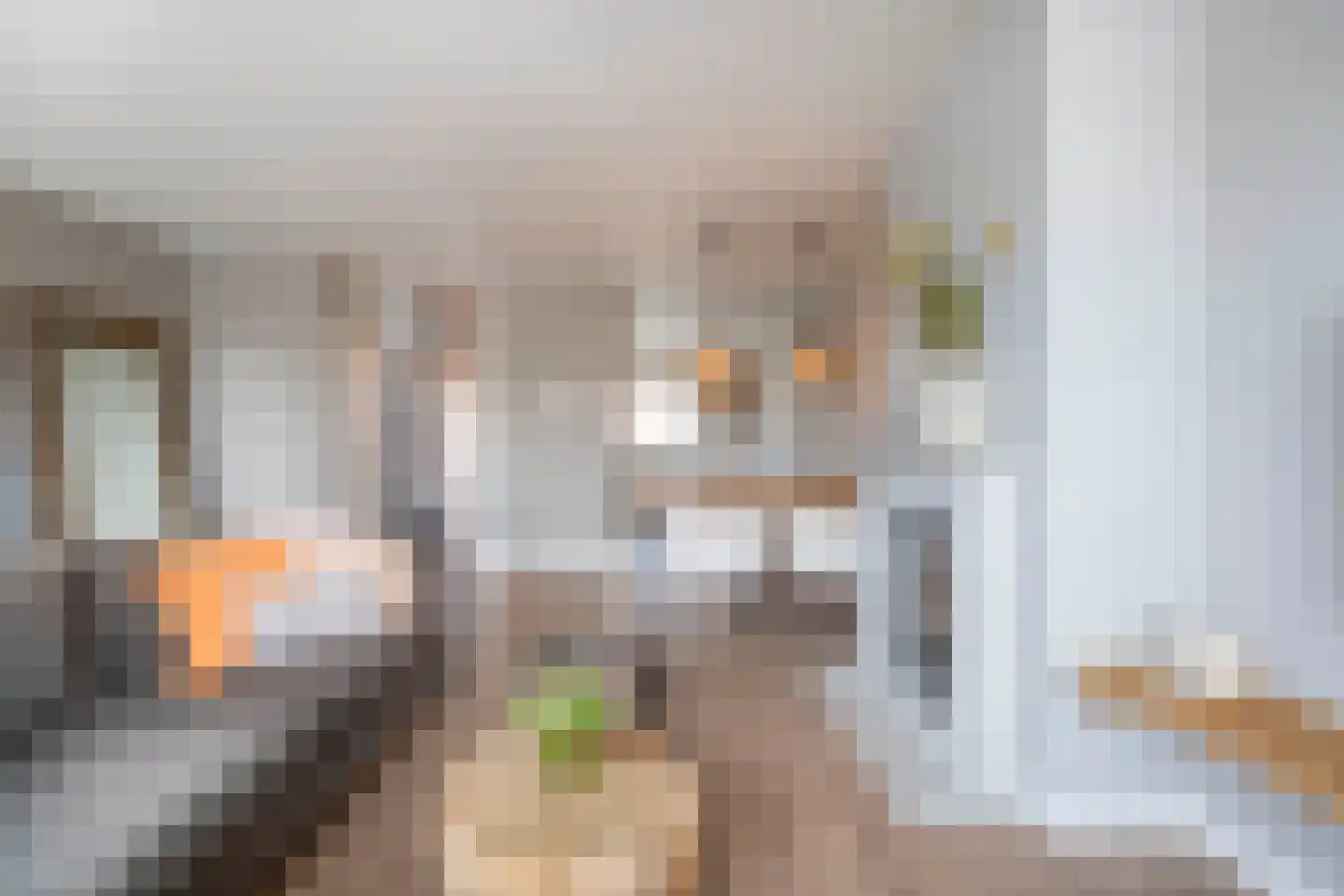 Anjelierenstraat 31 Rijnsburg thumbnail 9