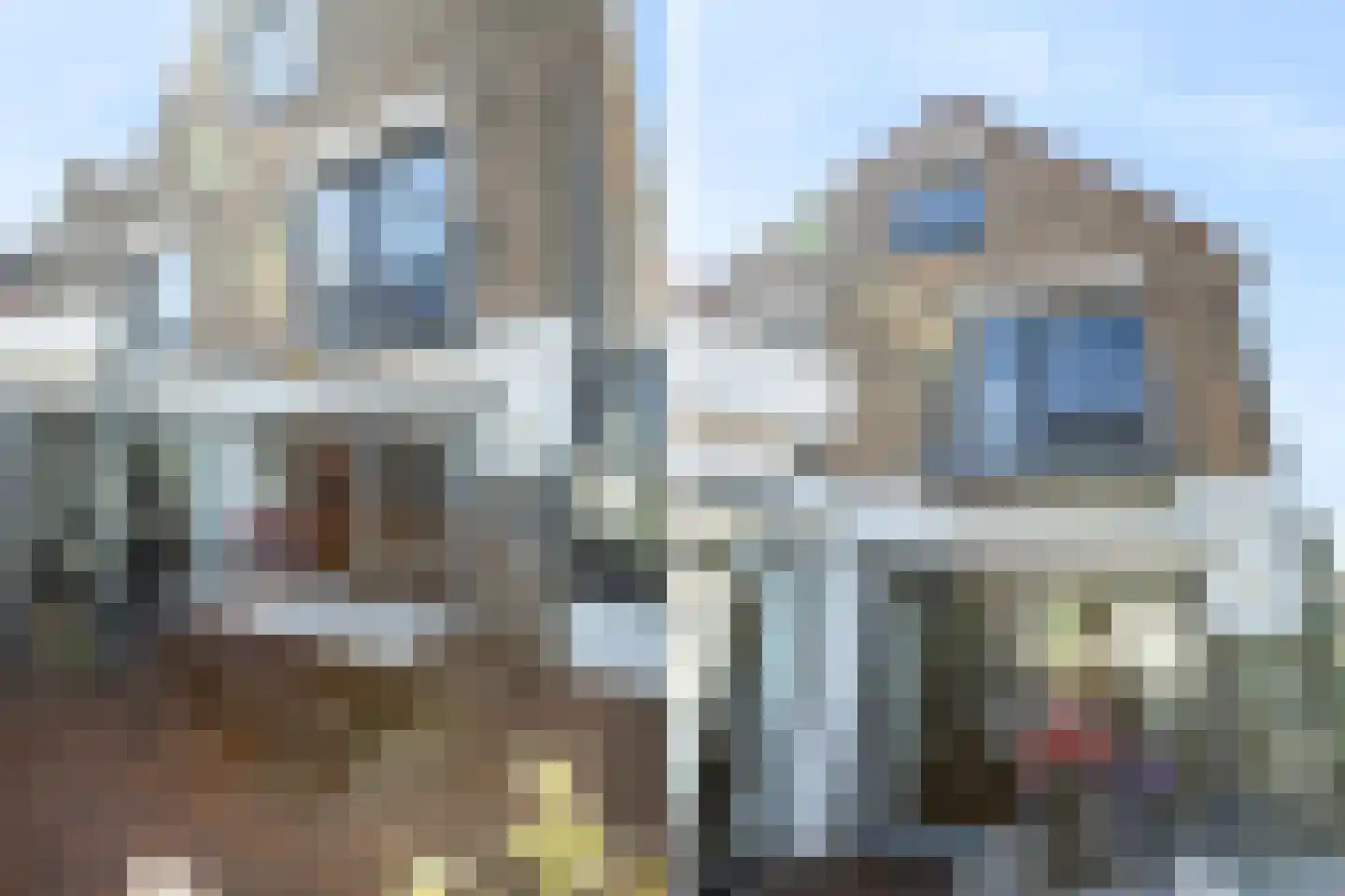 Anjelierenstraat 44 Volendam thumbnail 51