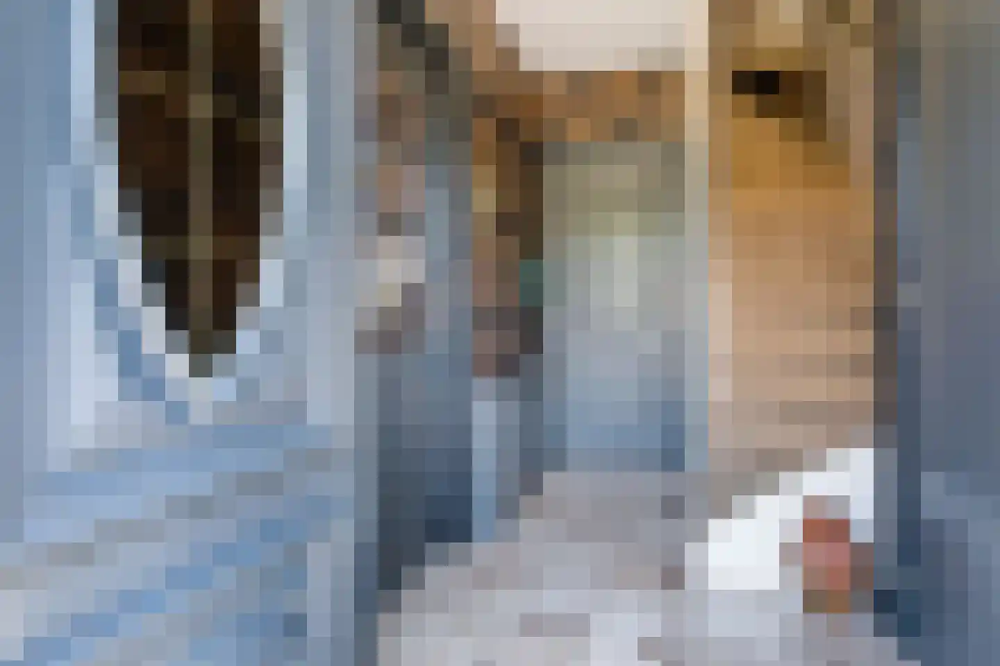 Anjelierenstraat 44 Volendam thumbnail 6