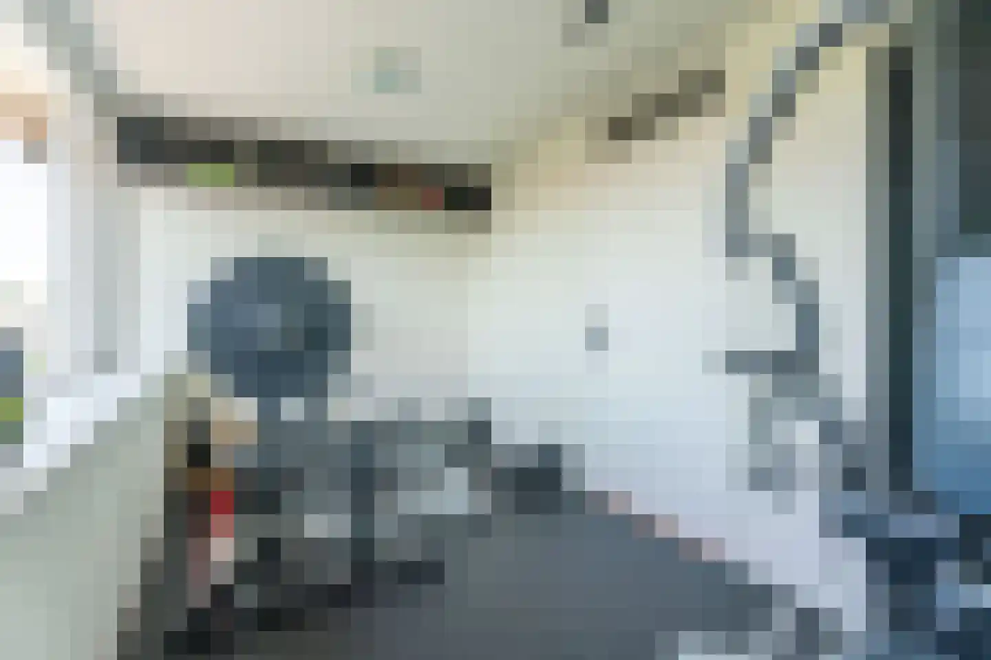 Anjelierenstraat 51 Rijnsburg thumbnail 18