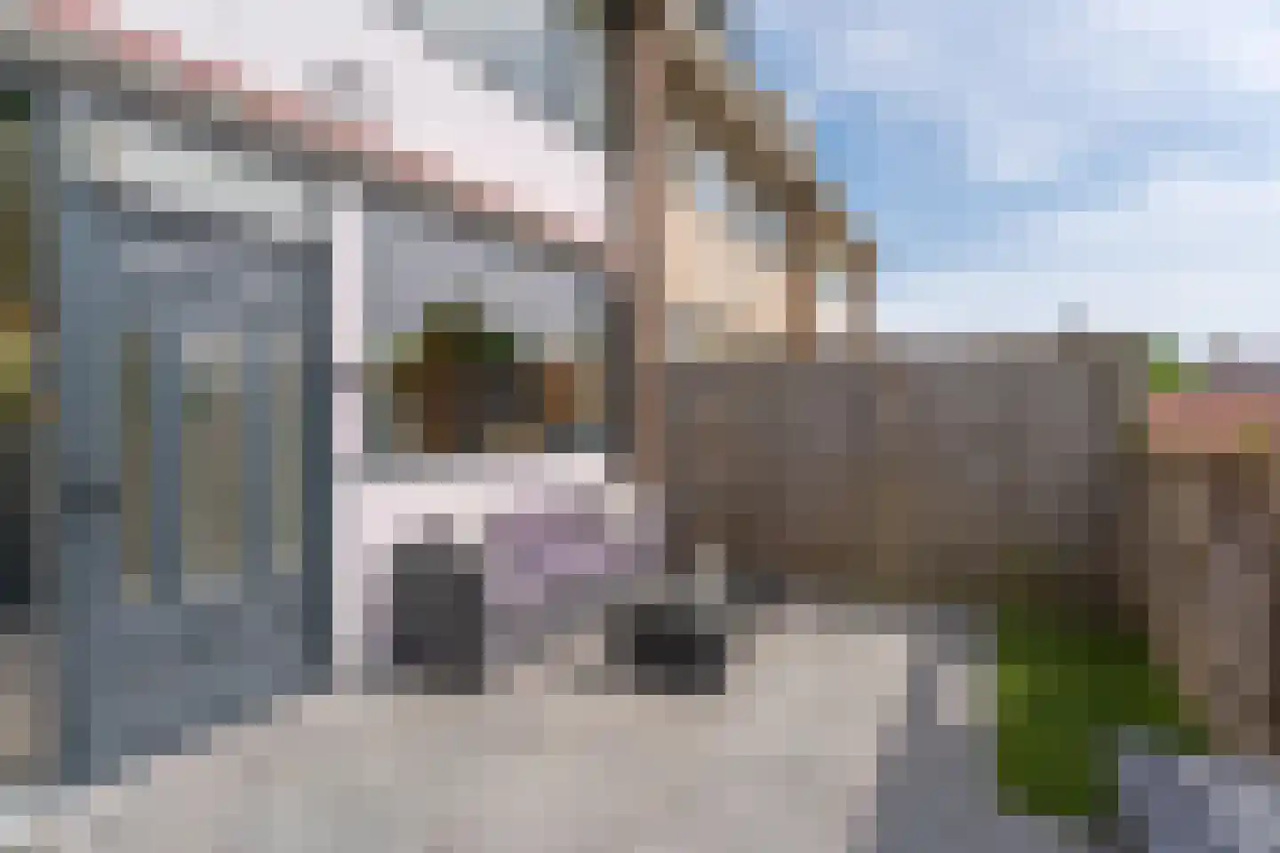 Anjelierenstraat 51 Rijnsburg thumbnail 31