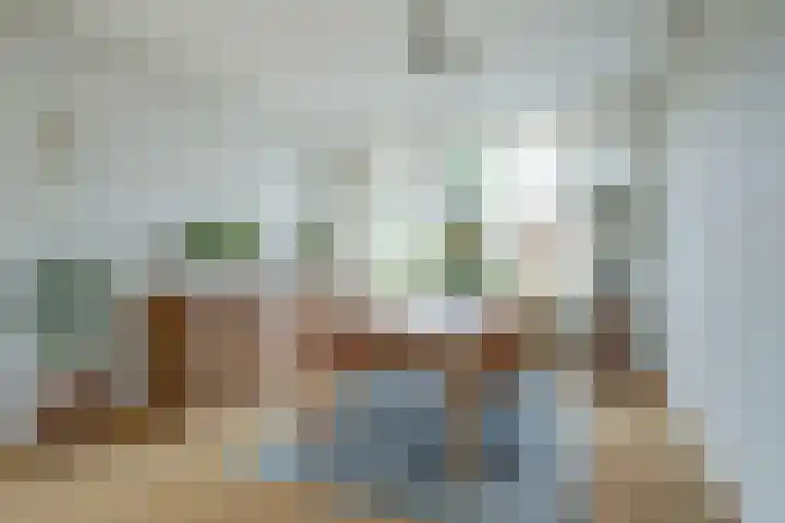 Anjelierlaan 12 Lutjebroek thumbnail 10