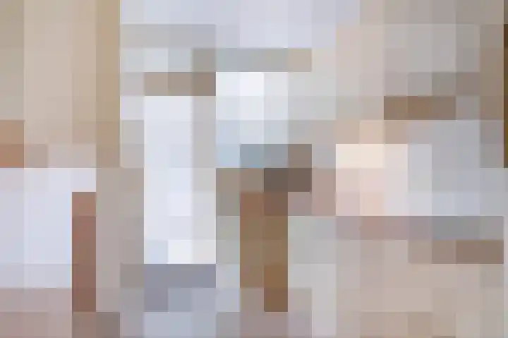 Anjelierlaan 12 Lutjebroek thumbnail 12