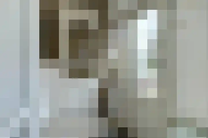 Anjelierlaan 12 Lutjebroek thumbnail 16