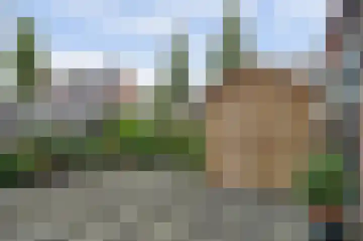 Anjelierlaan 12 Lutjebroek thumbnail 19