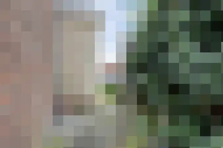 Anjelierlaan 12 Lutjebroek thumbnail 20