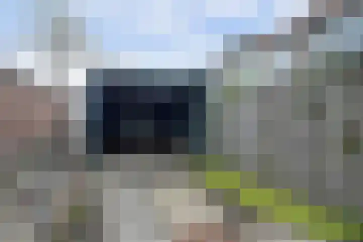 Anjelierlaan 12 Lutjebroek thumbnail 21
