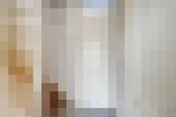 Anjelierlaan 12 Lutjebroek thumbnail 22