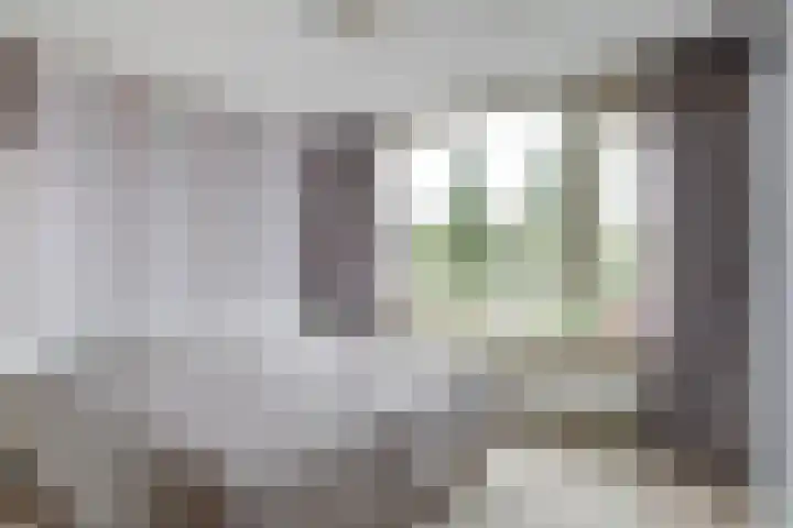Anjelierlaan 12 Lutjebroek thumbnail 23
