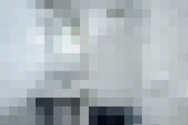 Anjelierlaan 12 Lutjebroek thumbnail 26