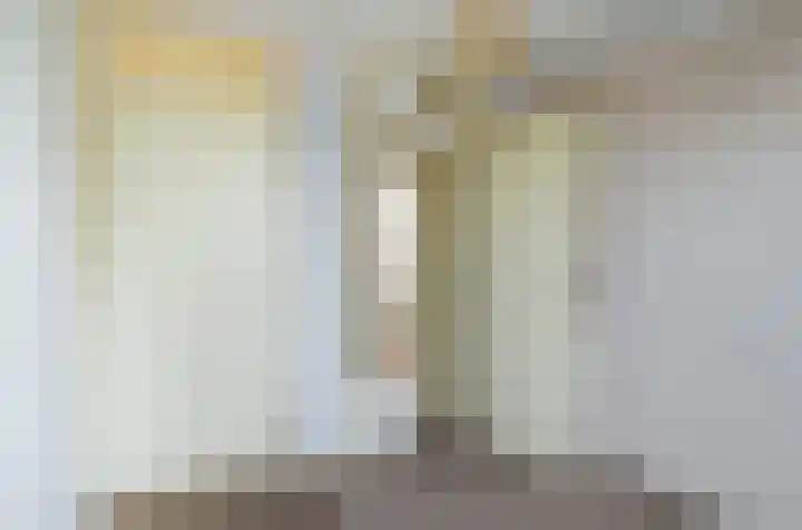 Anjelierlaan 12 Lutjebroek thumbnail 30